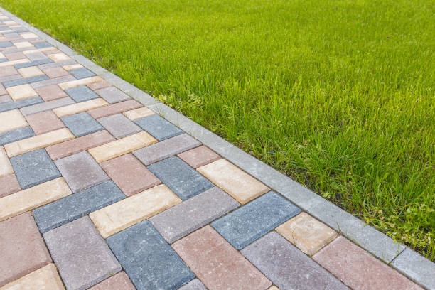 Best Decorative Driveway Pavers  in Wildwood, TN
